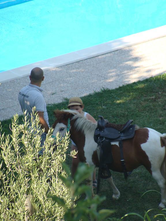 Appartamento Casa Pace Tremosine Dış mekan fotoğraf